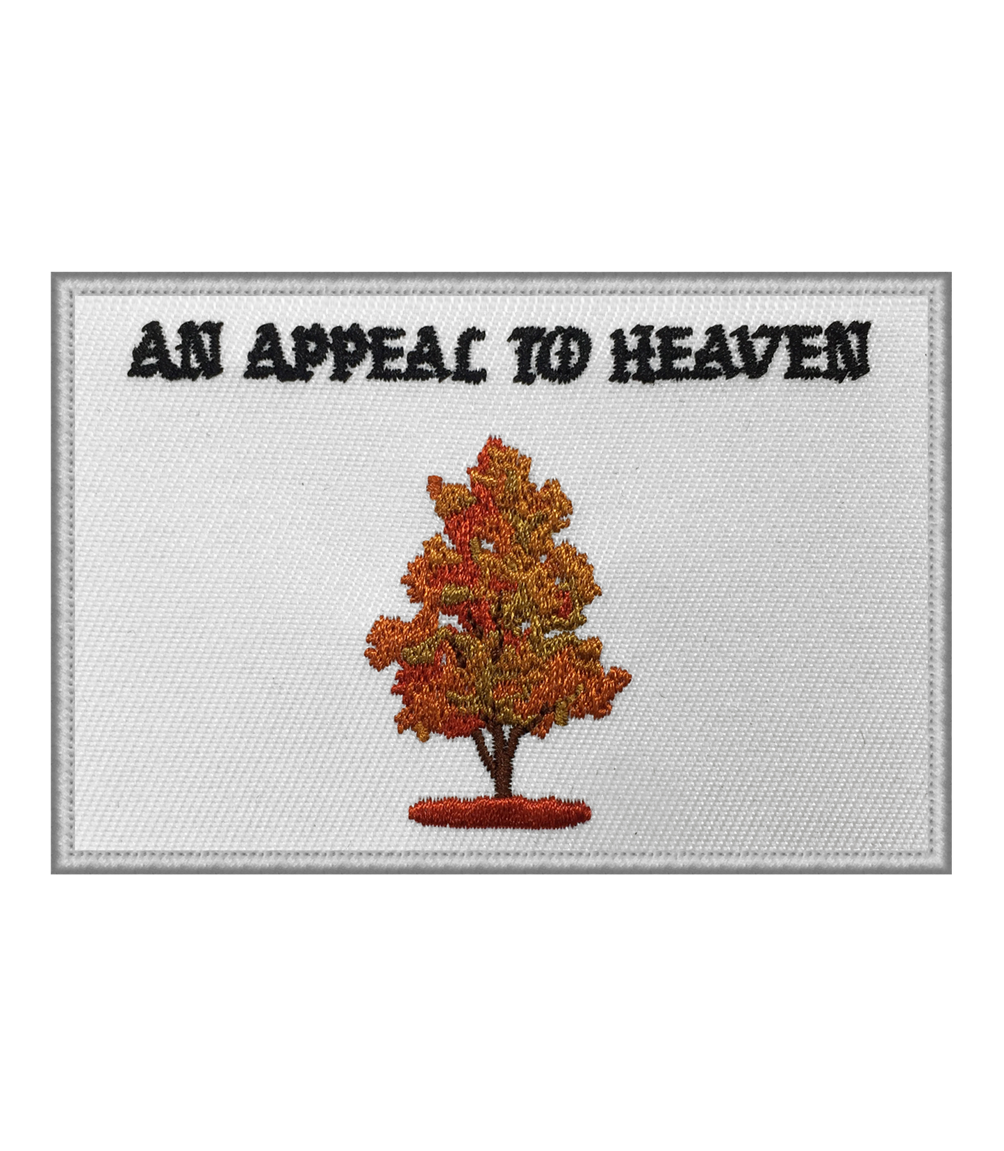 AN APPEAL TO HEAVEN